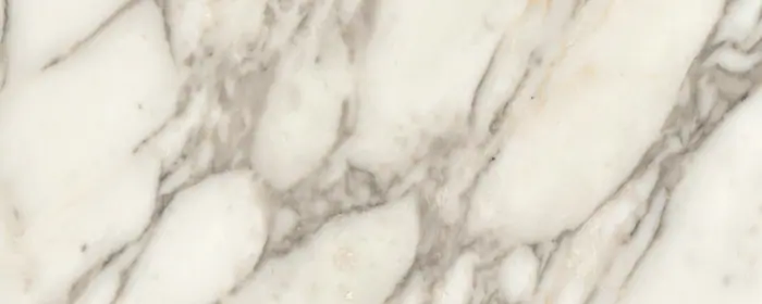 Arabescato marble — white with soft grey veining